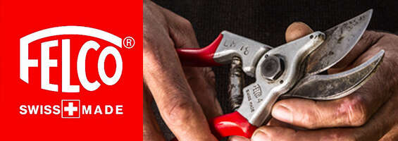 FELCO promotion automne